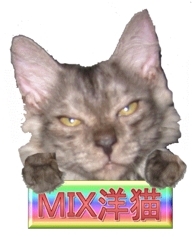 セサールのmix酔猫バナー ネコ肉球４個分の幸せ